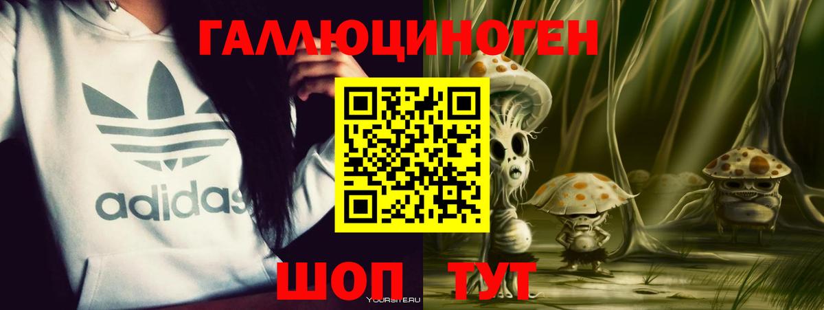 Псилоцибиновые грибы ЛСД Новороссийск
